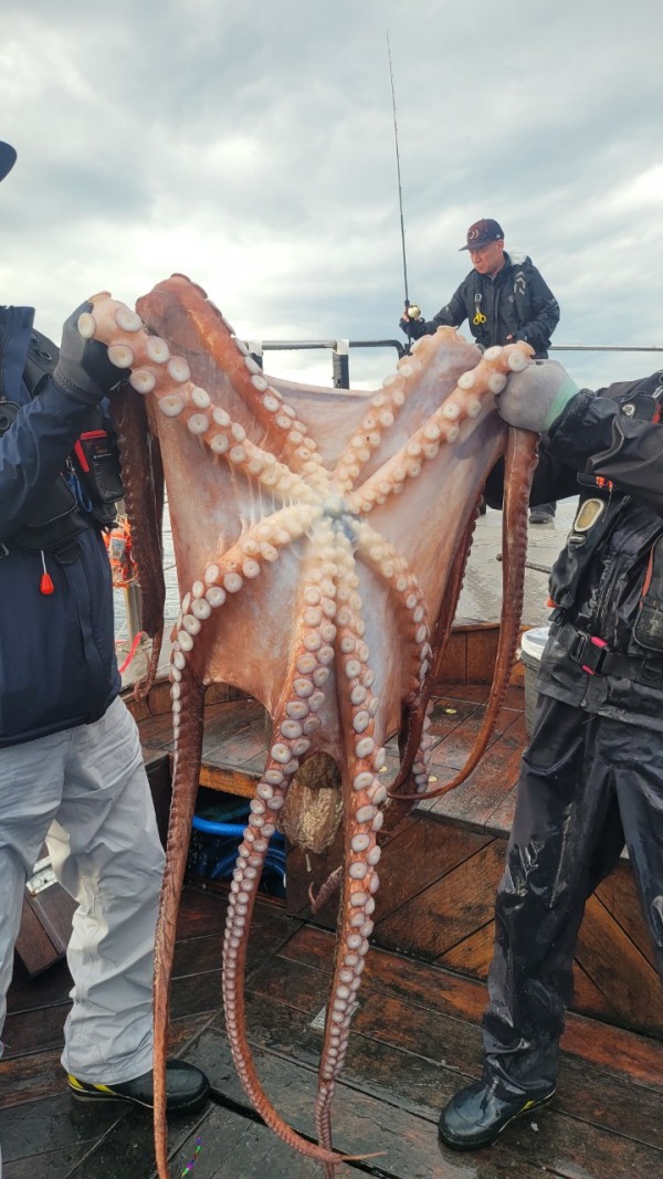 25edc4845a744cd7f461388876952778_1767509