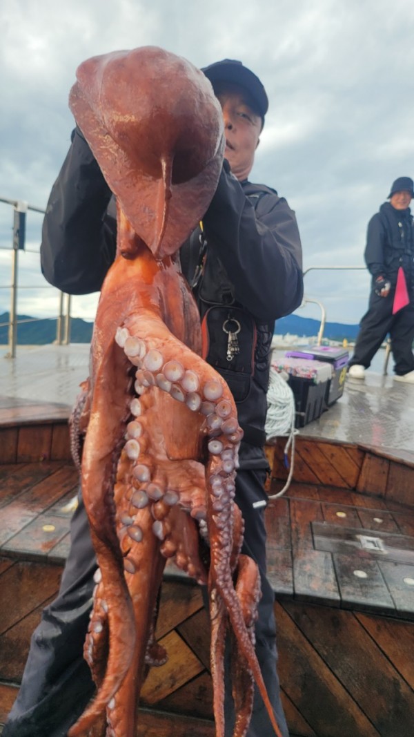 25edc4845a744cd7f461388876952778_1767509