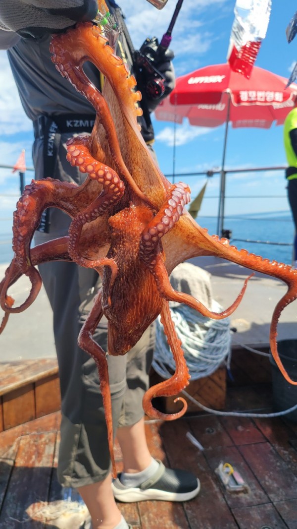 26515b94fb03888874344f4b3f201c90_1767512