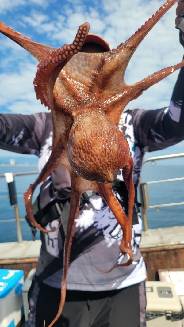 26515b94fb03888874344f4b3f201c90_1767512