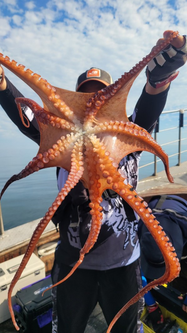 26515b94fb03888874344f4b3f201c90_1767512