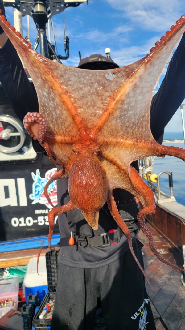 26515b94fb03888874344f4b3f201c90_1767512