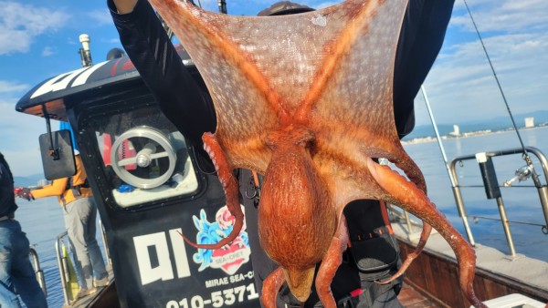 26515b94fb03888874344f4b3f201c90_1767512