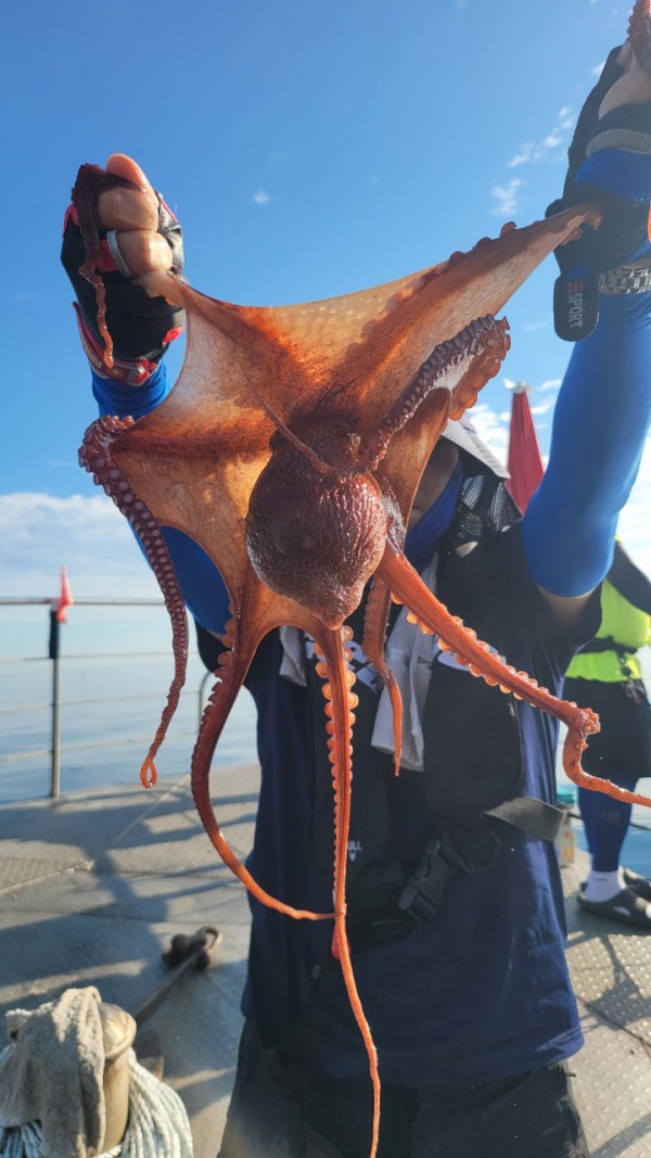 26515b94fb03888874344f4b3f201c90_1767512