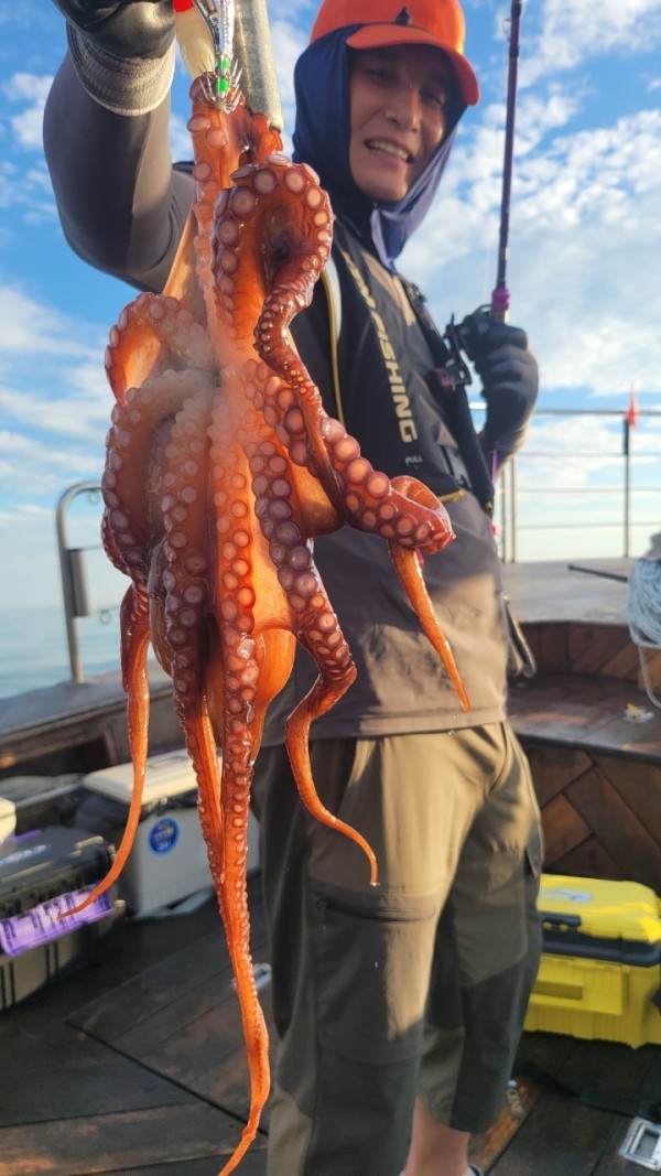 26515b94fb03888874344f4b3f201c90_1767512