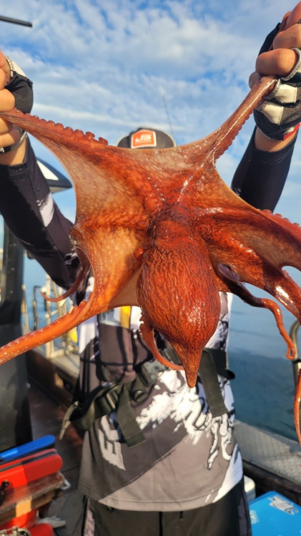 26515b94fb03888874344f4b3f201c90_1767512