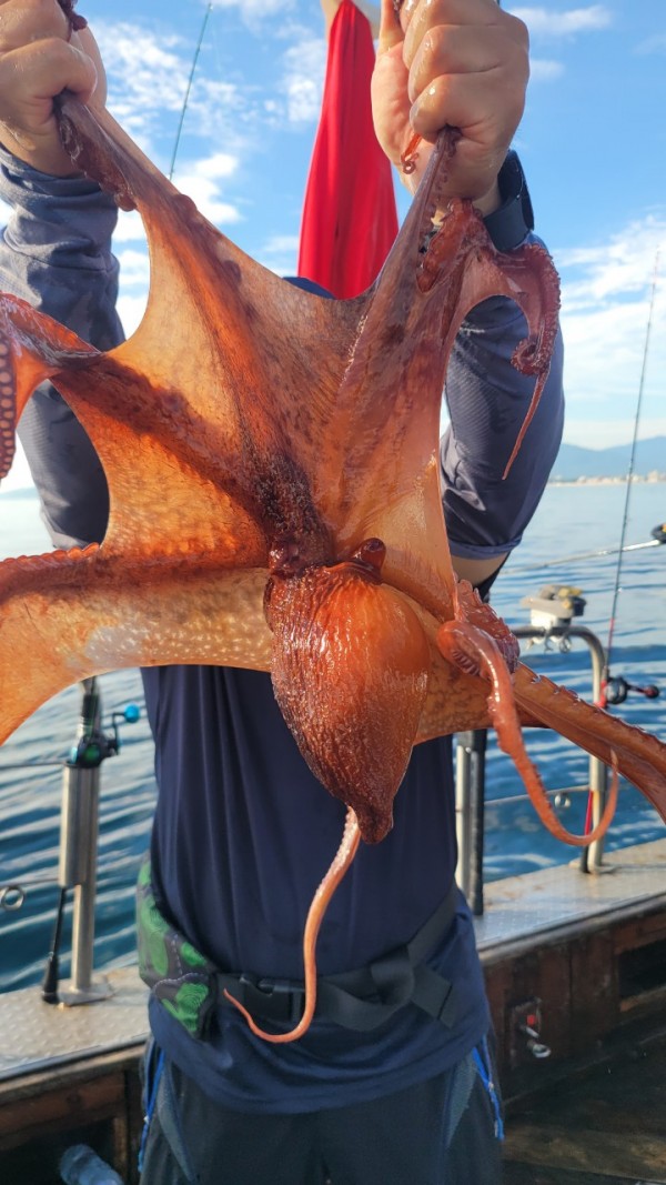 26515b94fb03888874344f4b3f201c90_1767512