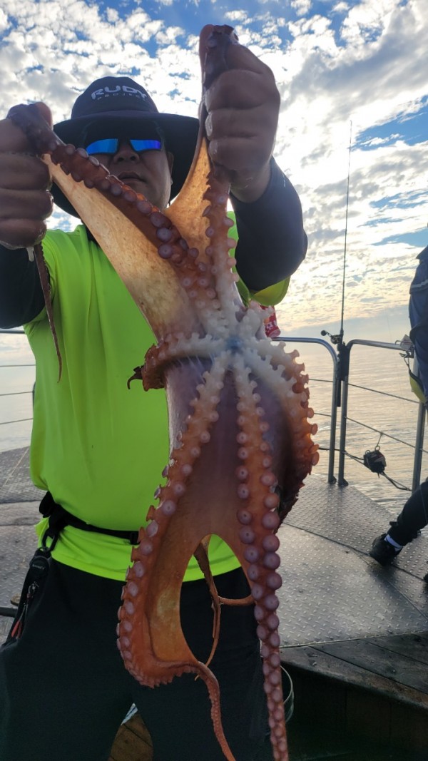 26515b94fb03888874344f4b3f201c90_1767512