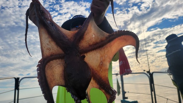 26515b94fb03888874344f4b3f201c90_1767512