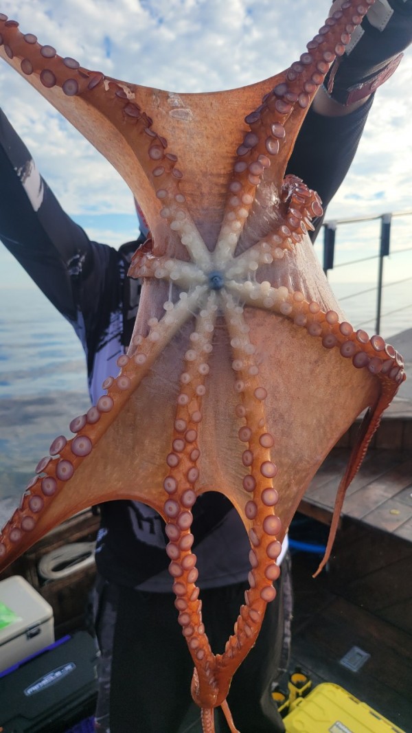 26515b94fb03888874344f4b3f201c90_1767512