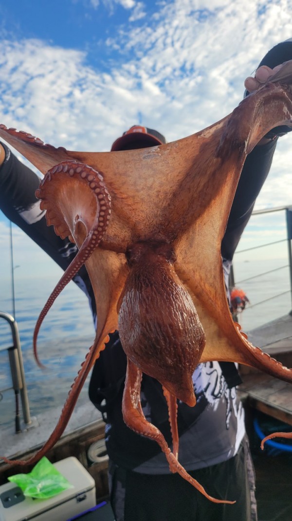 26515b94fb03888874344f4b3f201c90_1767512