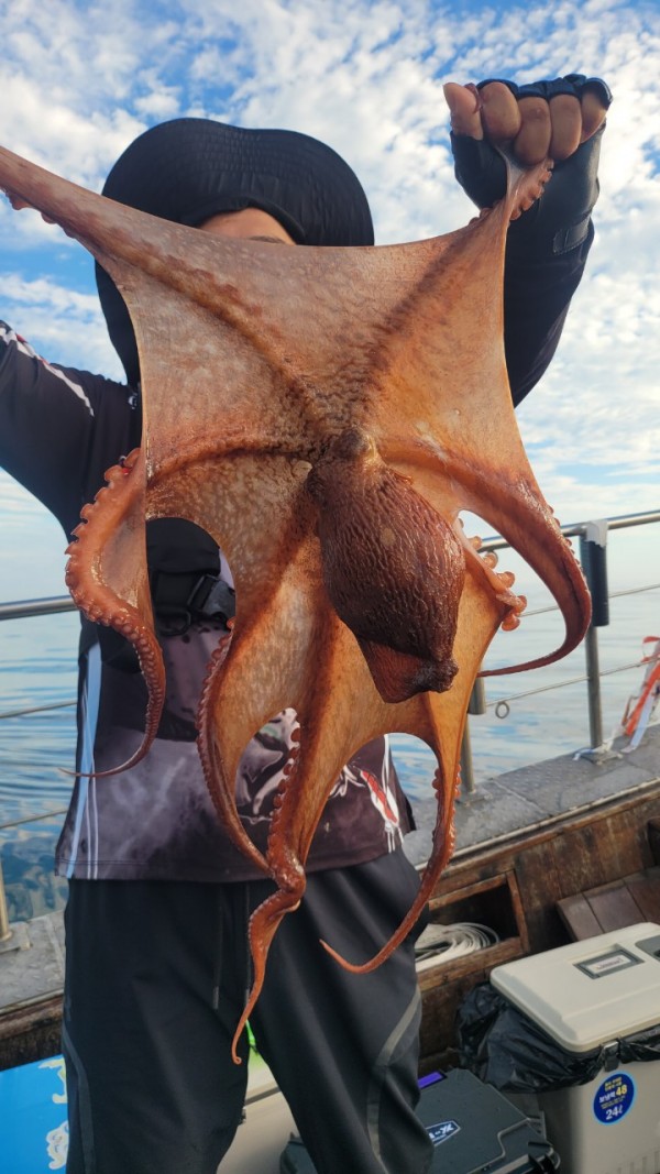 26515b94fb03888874344f4b3f201c90_1767512