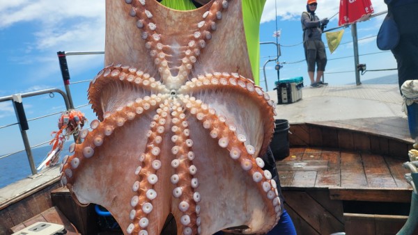 26515b94fb03888874344f4b3f201c90_1767512