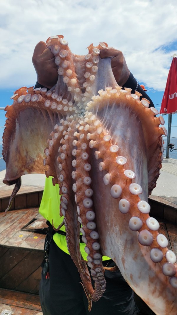 26515b94fb03888874344f4b3f201c90_1767512