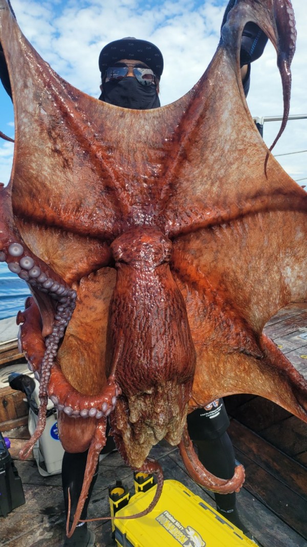 26515b94fb03888874344f4b3f201c90_1767512