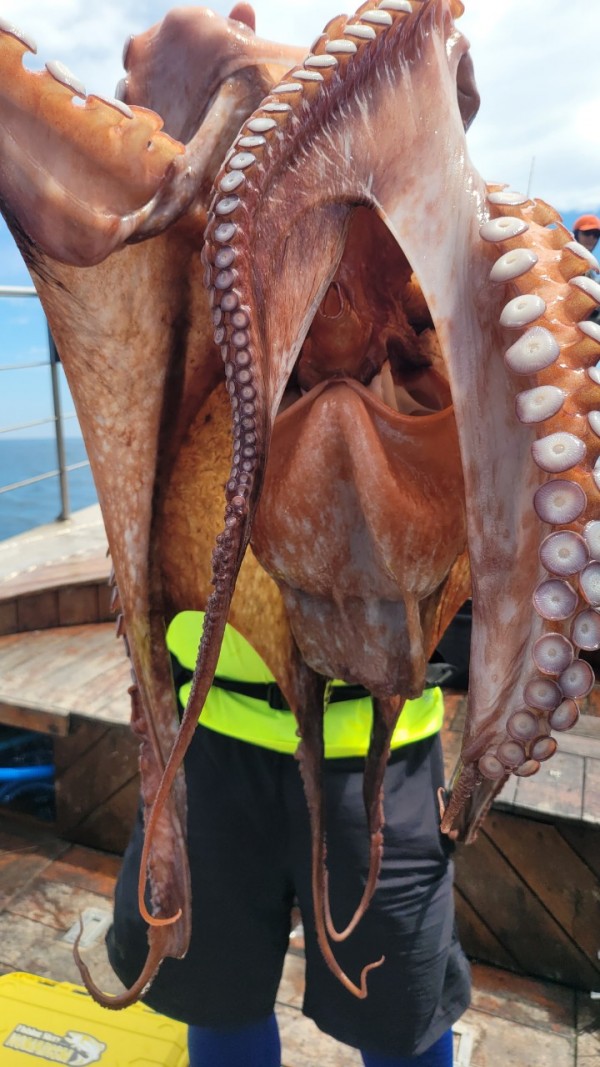 26515b94fb03888874344f4b3f201c90_1767512