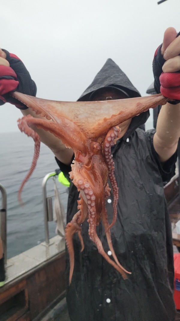 2bf569e1e09af939ef2d3f1c634bb185_1767510