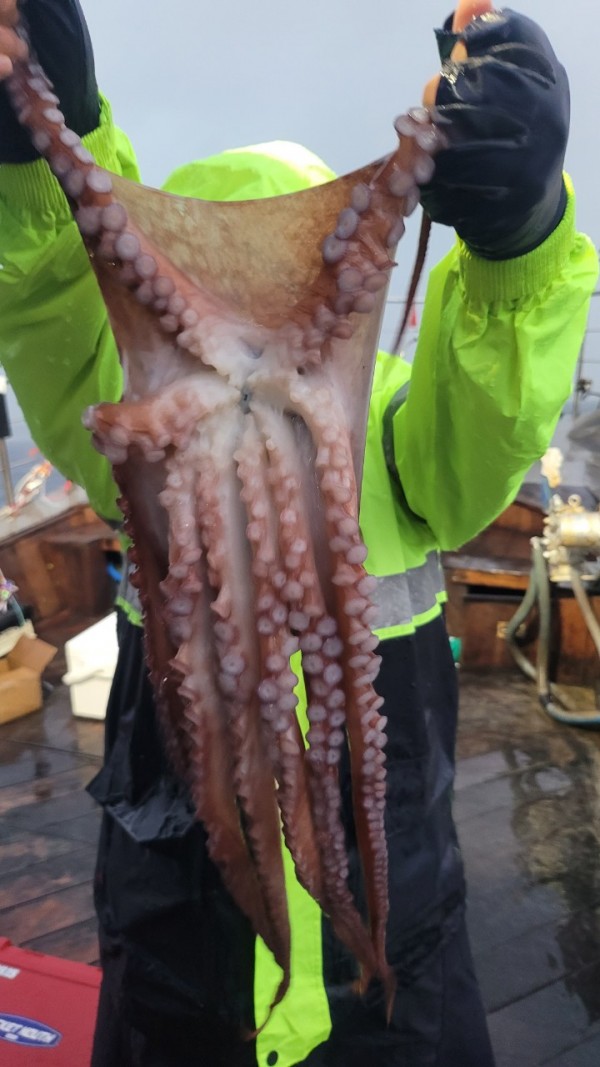 2bf569e1e09af939ef2d3f1c634bb185_1767510