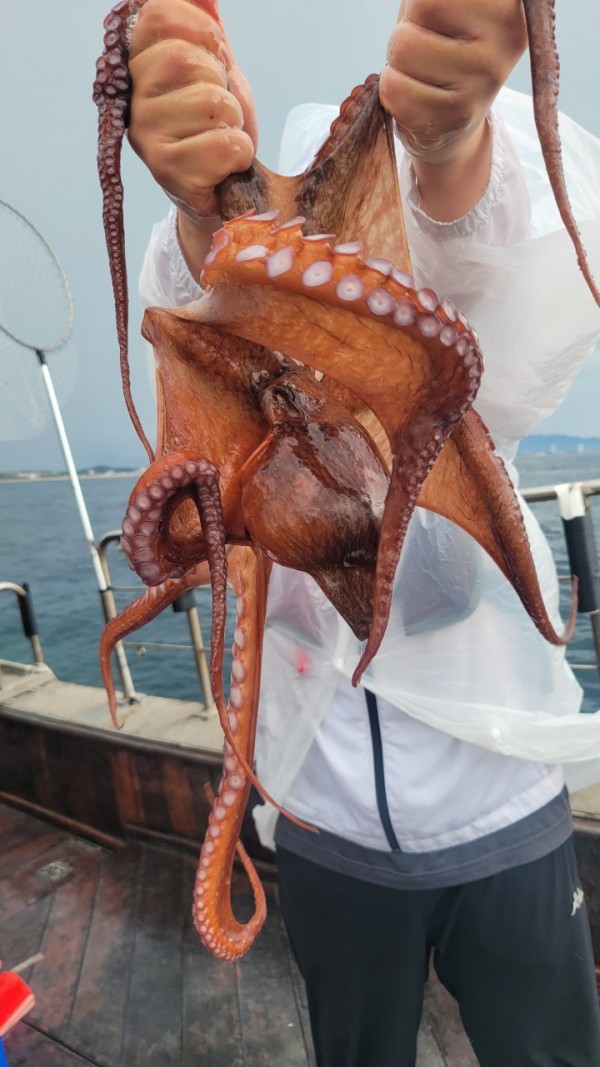 2bf569e1e09af939ef2d3f1c634bb185_1767510