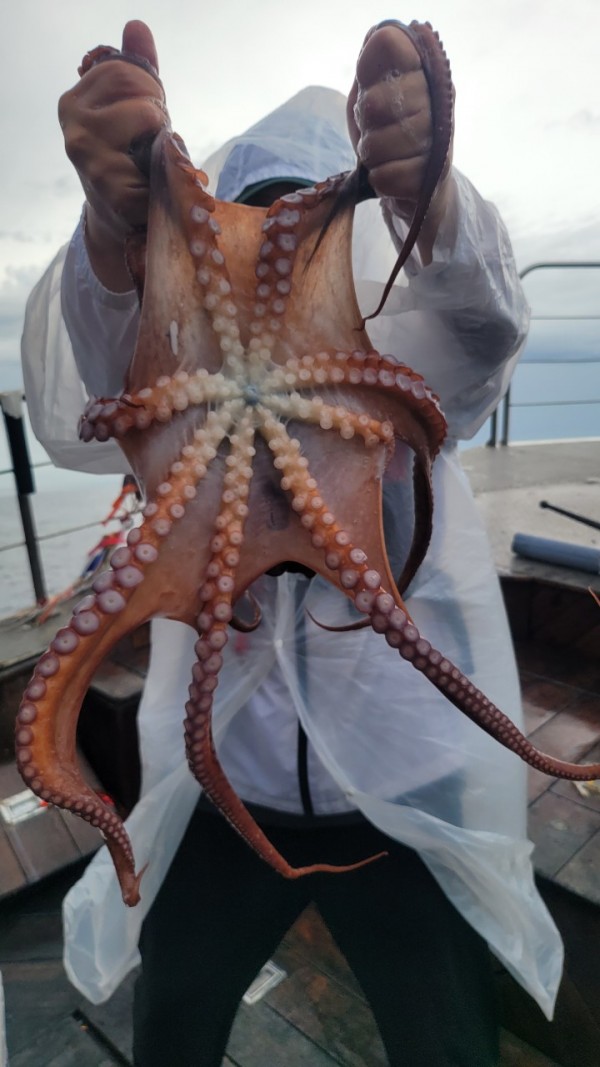 2bf569e1e09af939ef2d3f1c634bb185_1767510