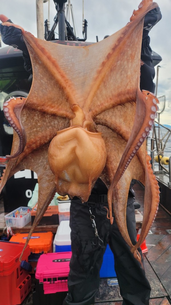 2bf569e1e09af939ef2d3f1c634bb185_1767510