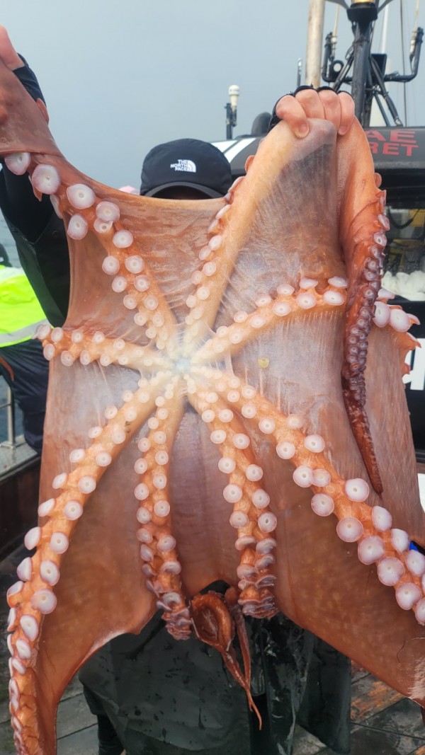 2bf569e1e09af939ef2d3f1c634bb185_1767510