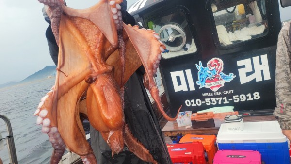 2bf569e1e09af939ef2d3f1c634bb185_1767510