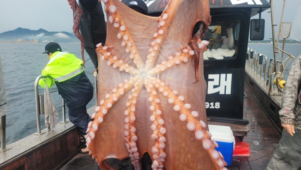 2bf569e1e09af939ef2d3f1c634bb185_1767510