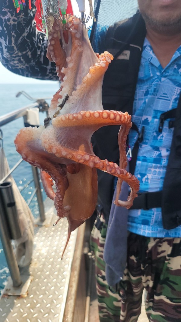 2c03394e7ef2622dc75ed82a1855e313_1767513