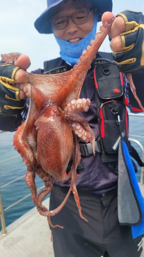 2c03394e7ef2622dc75ed82a1855e313_1767513