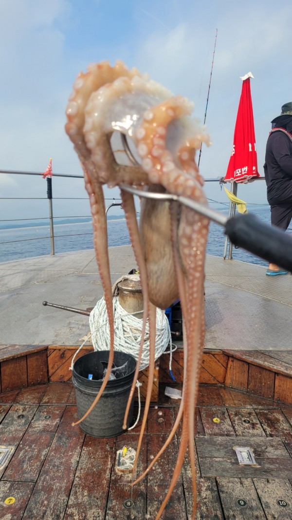 2c03394e7ef2622dc75ed82a1855e313_1767513