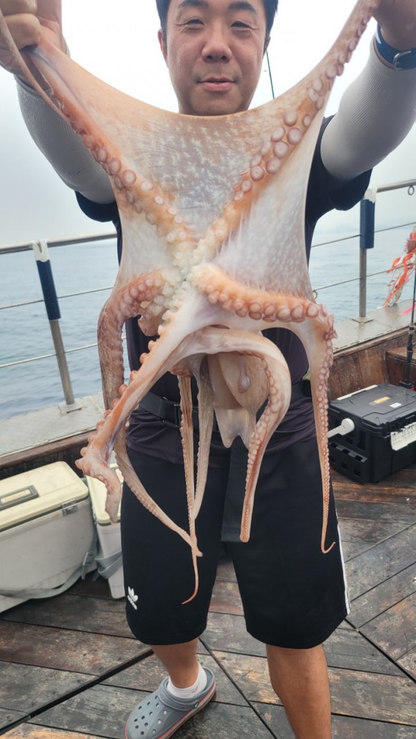 2c03394e7ef2622dc75ed82a1855e313_1767513