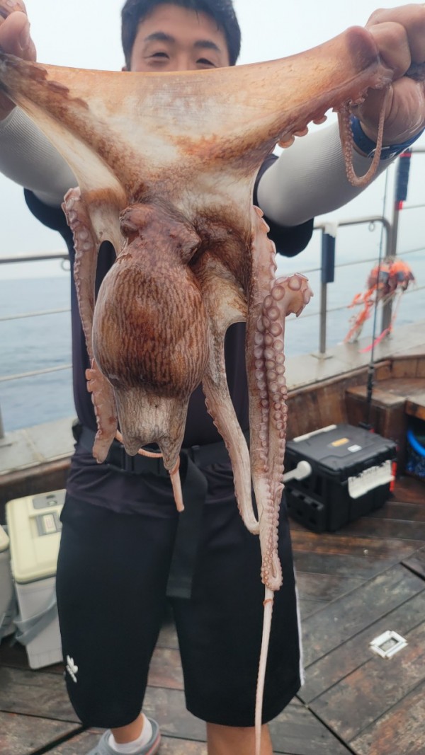 2c03394e7ef2622dc75ed82a1855e313_1767513