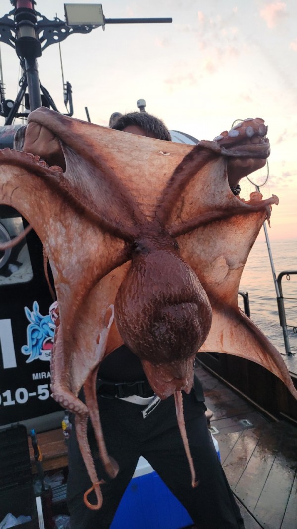 2c03394e7ef2622dc75ed82a1855e313_1767513