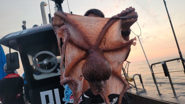 2c03394e7ef2622dc75ed82a1855e313_1767513