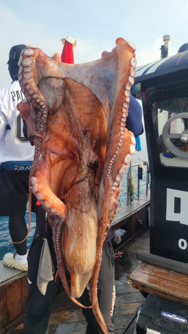 2c03394e7ef2622dc75ed82a1855e313_1767513