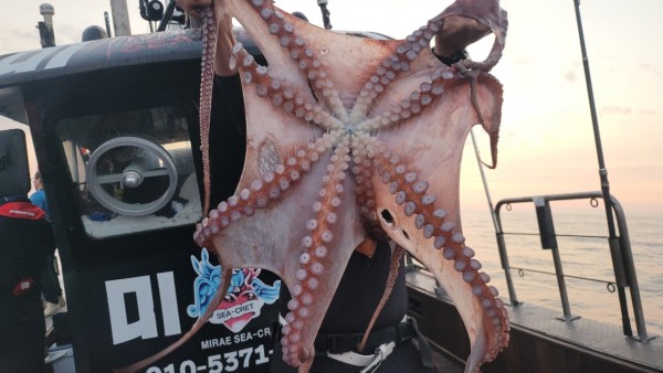 2c03394e7ef2622dc75ed82a1855e313_1767513