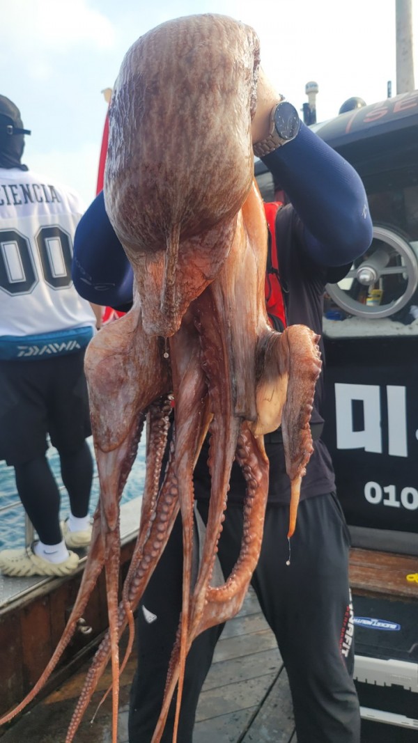 2c03394e7ef2622dc75ed82a1855e313_1767513