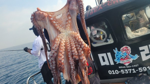 2c03394e7ef2622dc75ed82a1855e313_1767513