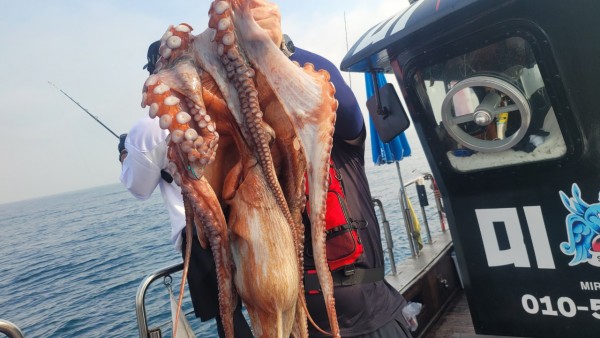 2c03394e7ef2622dc75ed82a1855e313_1767513