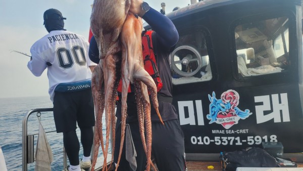 2c03394e7ef2622dc75ed82a1855e313_1767513