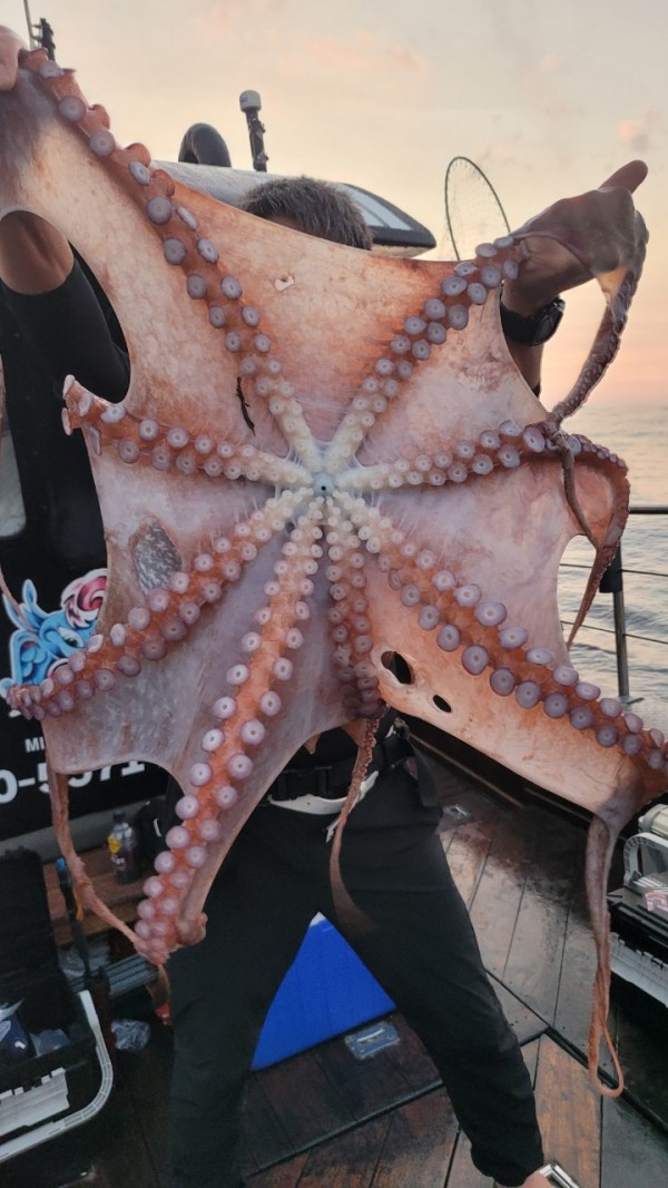 2c03394e7ef2622dc75ed82a1855e313_1767513