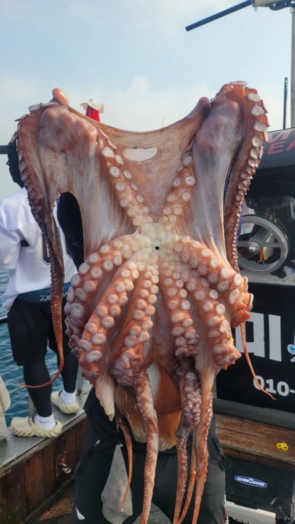 2c03394e7ef2622dc75ed82a1855e313_1767513