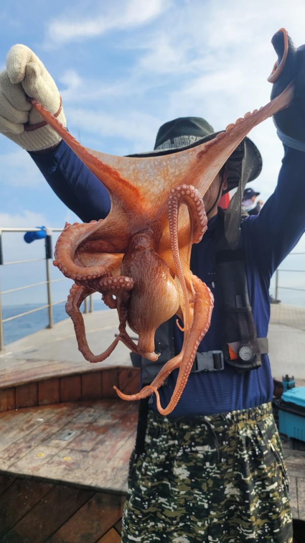 3476aab1dc89e418790b496511c40a90_1767520