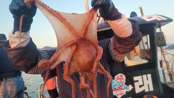 3476aab1dc89e418790b496511c40a90_1767520