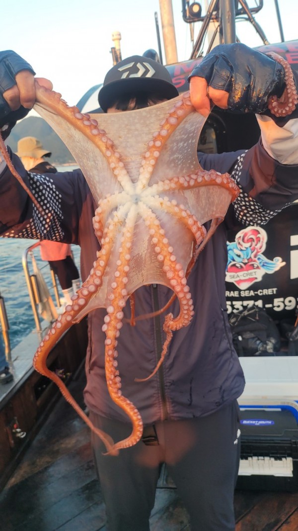 3476aab1dc89e418790b496511c40a90_1767520