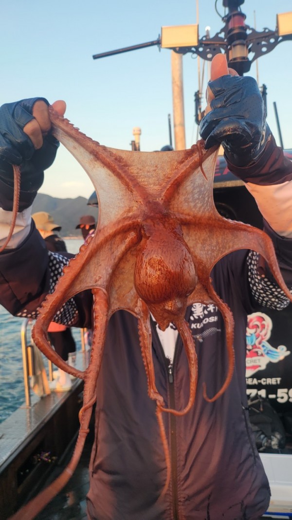 3476aab1dc89e418790b496511c40a90_1767520