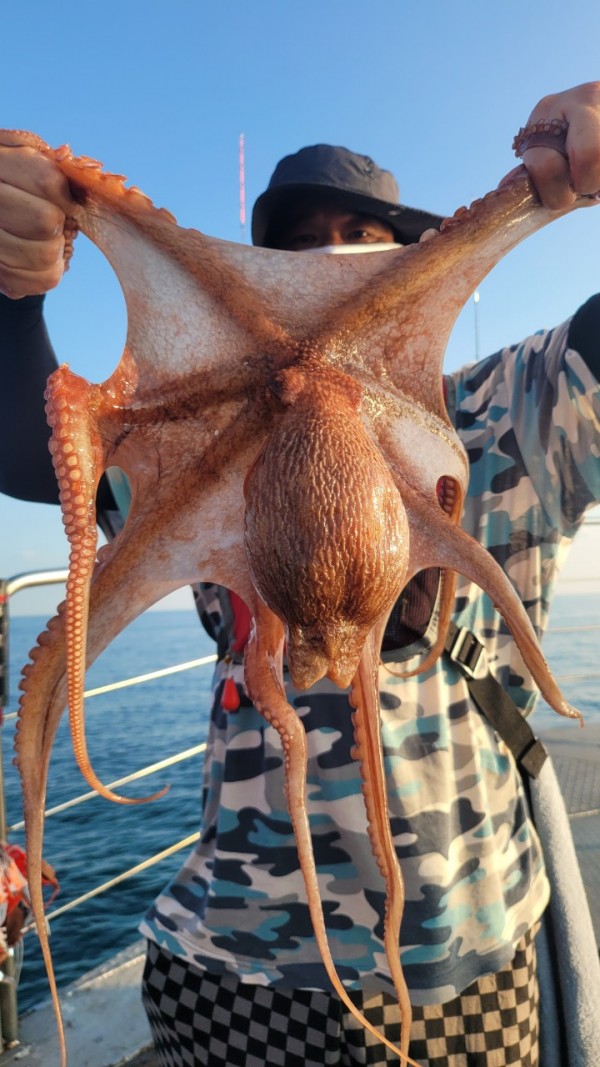 3476aab1dc89e418790b496511c40a90_1767520