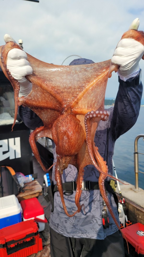 3476aab1dc89e418790b496511c40a90_1767520