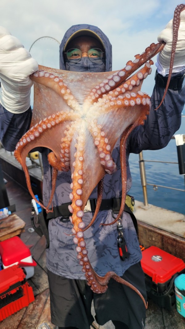 3476aab1dc89e418790b496511c40a90_1767520